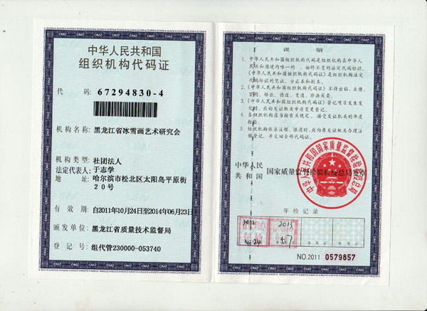 黑龙江省冰雪画艺术研究会代码证