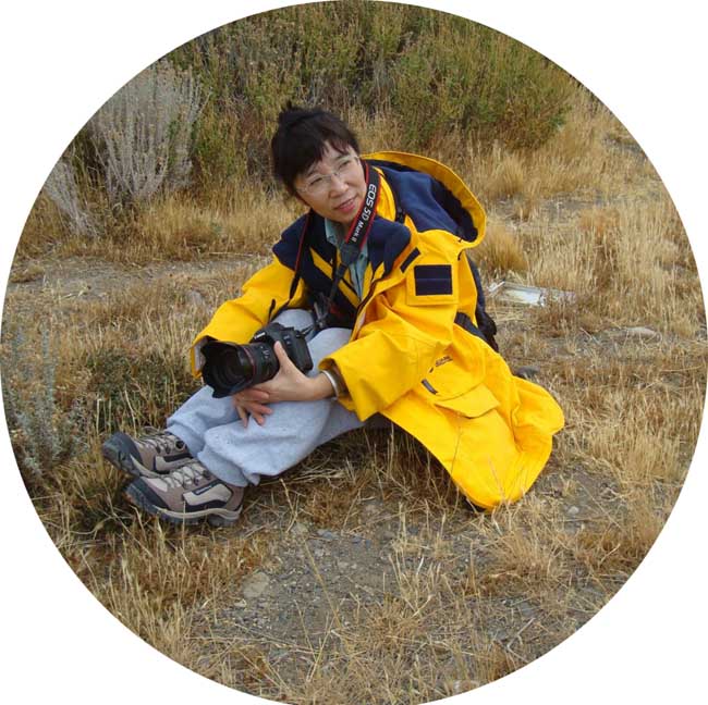 雪染黄山亦有情 于志学画黄山访谈录