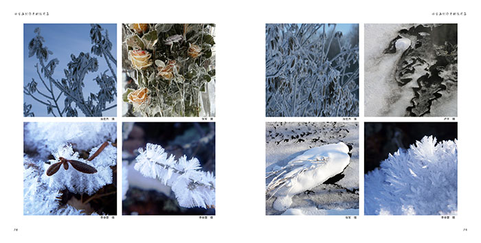 冰雪画派